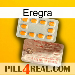 Eregra new13